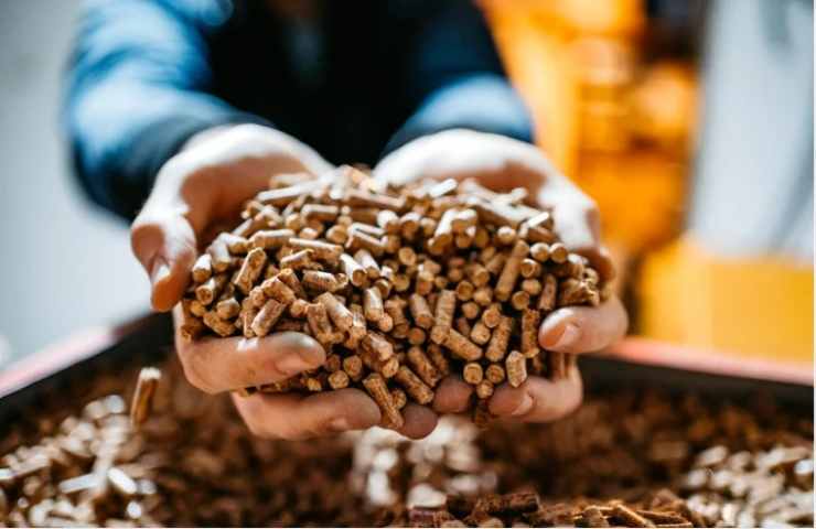 Uomo tiene il pellet tra le mani