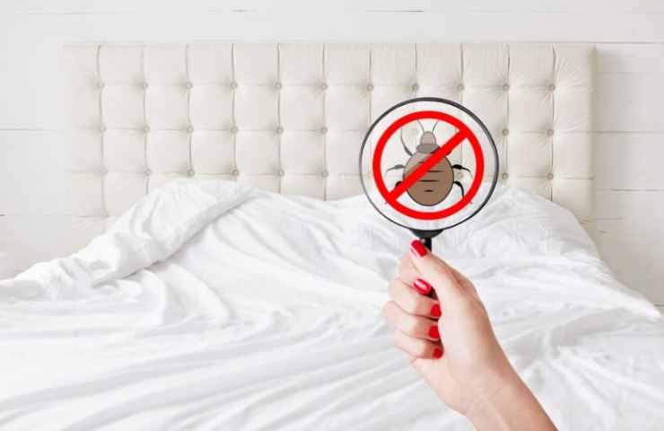 letto con lente d'ingrandimento che evidenzia una cimice